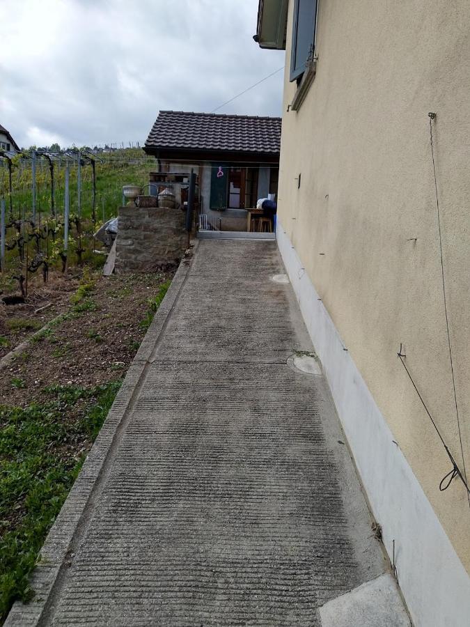 Charmante Maison Au Coeur Du Lavaux, Cully, Cuisine, Wifi, Les Echalas Eksteriør bilde